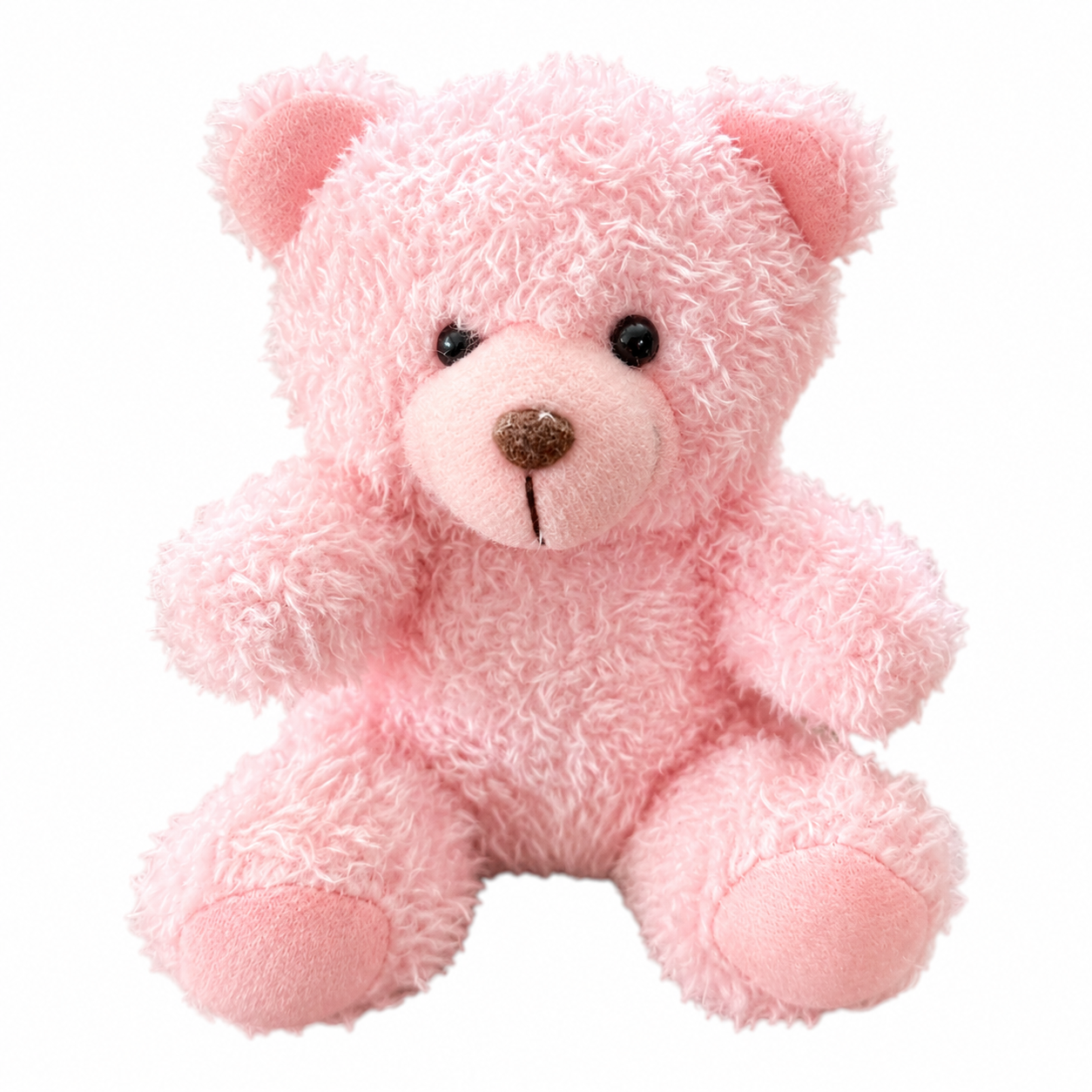 Teddy Bear Plush Bag & Backpack Charm